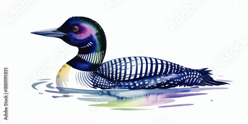 Colorful loon bird watercolor illustration swimming modern wildlife art for nature decor and design