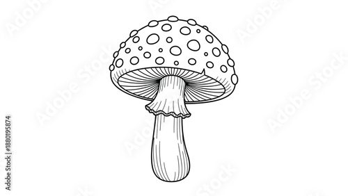 Classic line art drawing of a spotted toadstool mushroom with a textured stem and gills for nature or fairy tale projects.