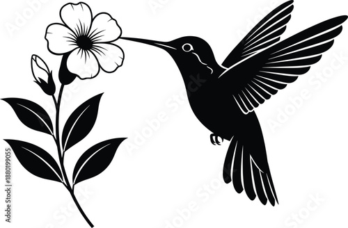 Minimalist hummingbird sipping nectar from a flower vector silhouette for nature and garden-themed designs.