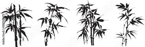Black ink bamboo plant silhouettes with expressive brush strokes and flowing leaves forming traditional oriental botanical art on white background