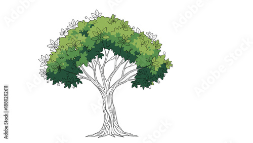 Creative concept of a tree with its trunk and branches hand-drawn in outline and its leaves filled with green color.