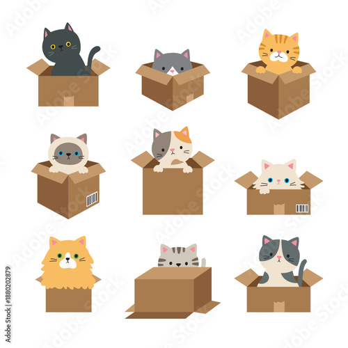Cute cats in boxes vector illustration set featuring nine cats in cardboard boxes. Includes various poses, different breeds, and both long-haired and short-haired cats.