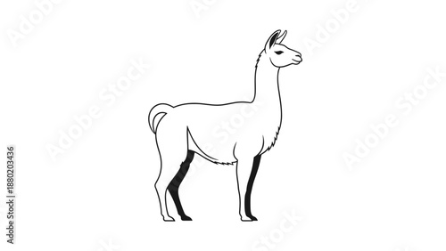 Simple black and white line art illustration of a llama or alpaca standing in profile, perfect for a logo or coloring book.