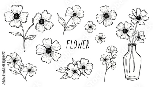A collection of hand drawn simple blossom outlines featuring various arrangements including individual stems and flowers placed inside a clear glass vase floral drawing botanical nature