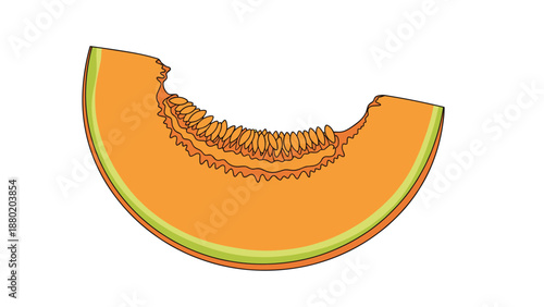 Simple line art illustration of a single slice of cantaloupe melon with seeds, isolated on a clean white background.