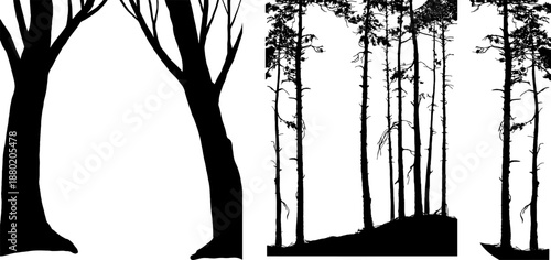 Set of black tree silhouettes. Vector illustration of forest elements including trunks, branches, vines, and leaves isolated on background