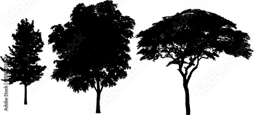 High quality vector set of tree silhouettes. Various types of trees including pine, palm, deciduous, and bush elements. Perfect for landscape design, architectural rendering, logo design, and nature 