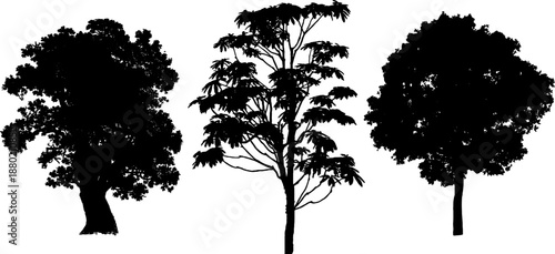 High quality vector set of tree silhouettes. Various types of trees including pine, palm, deciduous, and bush elements. Perfect for landscape design, architectural rendering, logo design, and nature 