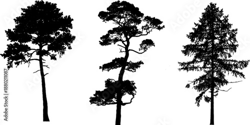 High quality vector set of tree silhouettes. Various types of trees including pine, palm, deciduous, and bush elements. Perfect for landscape design, architectural rendering, logo design, and nature 