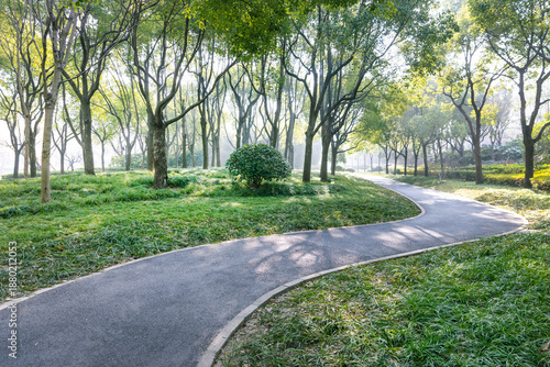 Quiet forest path in the early morning