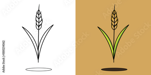 Paddy of Plant , children's coloring book. Coloring book with cute cartoon Plant pictures. Vector illustration with colored background.