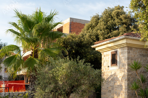 Tropical landscape featuring a palm tree and stone building with a red construction barrier in the background, showcasing a blend of nature and architecture in a serene environment
