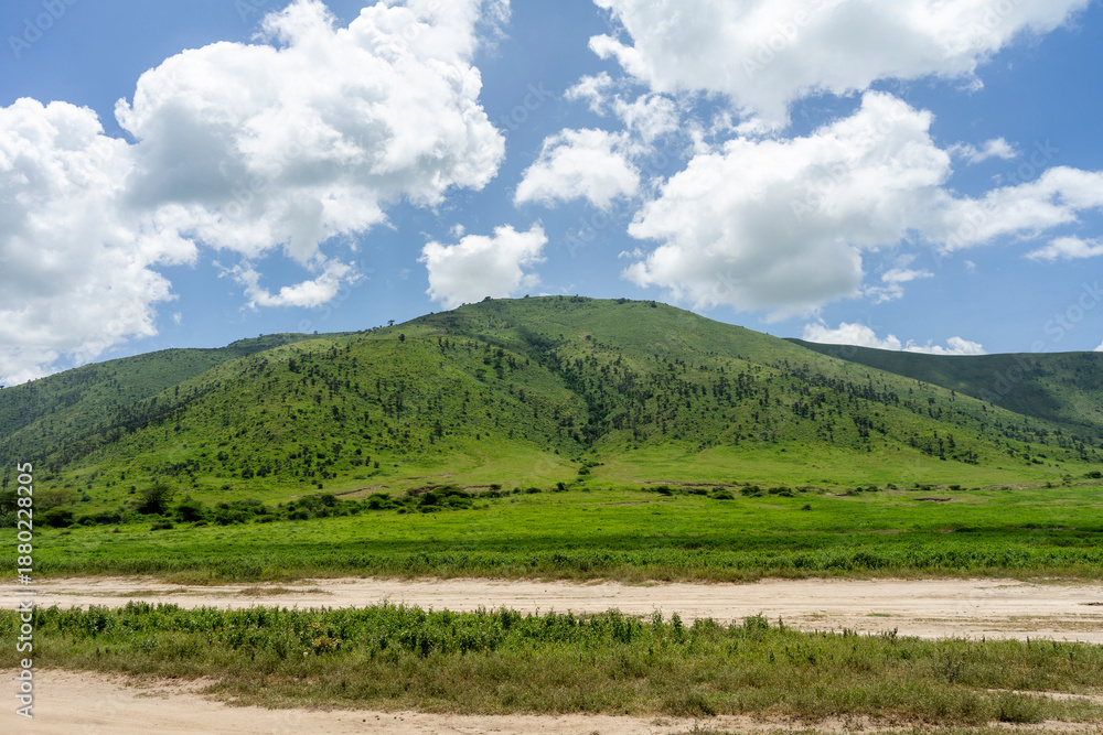 Fototapeta premium The Ngorongoro Crater is home to vast grasslands and a variety of animals.