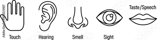 Black and white of hand, ear, nose, eye, and mouth representing the five senses touch