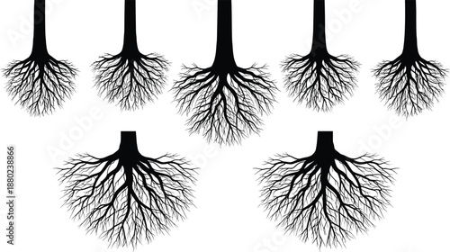 Set of black tree roots silhouettes isolated on white background for garden landscaping nature environmental conservation projects botanical illustration and graphic design
