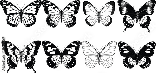 Tableau sur toile Beautiful butterfly collection set, elegant black and white insect wing patterns