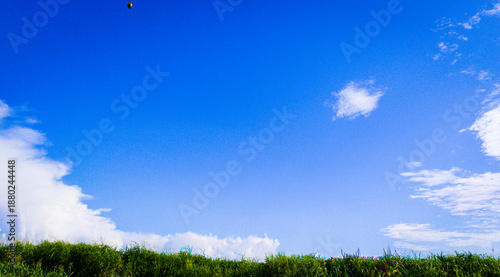 green grass and blue sky