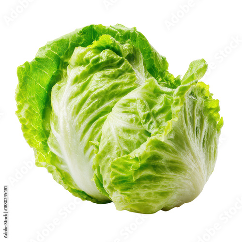 Crisp green lettuce head with ruffled leaves fresh vegetable