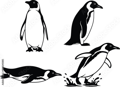Penguin silhouette illustration set, standing walking swimming jumping poses, black and white animal icons, isolated wildlife design collection