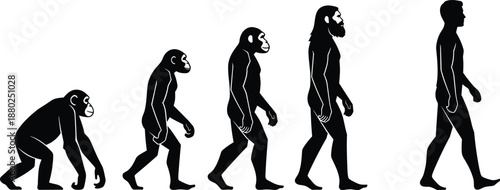 Human evolution progression silhouette showing primate to modern man transformation concept isolated black vector illustration for science education timeline poster