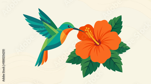 Geometric Hummingbird Feeding on Bright Orange Hibiscus Flower