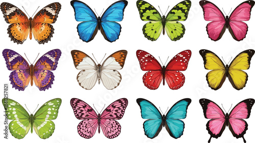 Collection of twelve colorful realistic butterfly illustrations with various wing patterns and vibrant colors, isolated set on white background for design