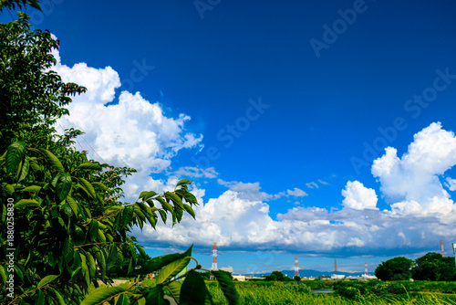 green field and blue sky