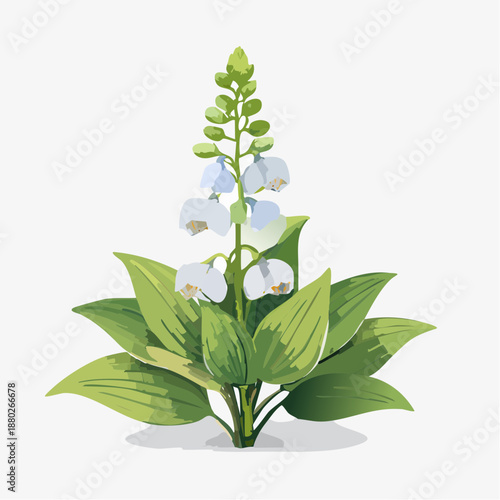 Lily of the valley flower with leaves