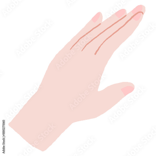 綺麗な手のイラスト