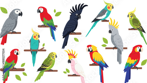 Colorful tropical parrot birds set perched on branches flat cartoon vector illustration isolated on white background