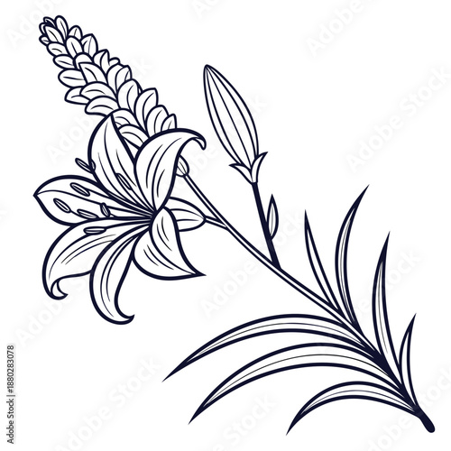 Liatris Flower Spike with Serrated Leaves Line Drawing