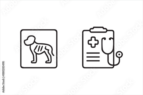 veterinary medical records and x ray image