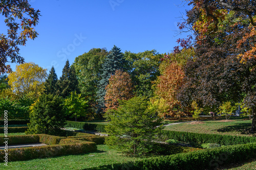 Canvas Print High Park landscape showing vibrant autumn foliage under blue sky