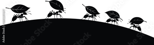 Ants carrying leaves silhouette illustration showing teamwork cooperation and strength in nature isolated on white background leadership success concept