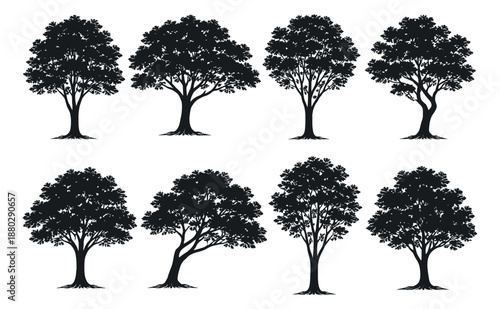 Graphic silhouette tree set featuring various shapes and detailed foliage for nature and environmental designs