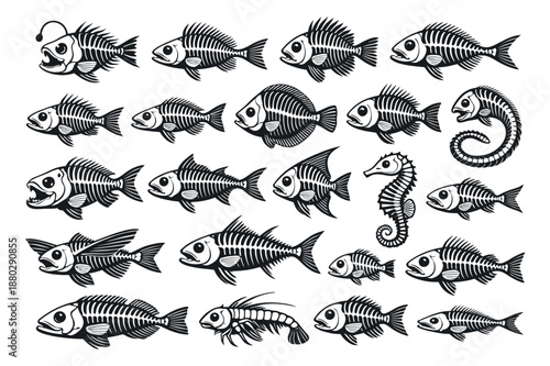 Line art fish skeletons set featuring various bony fish and a seahorse for marine biology and aquatic design