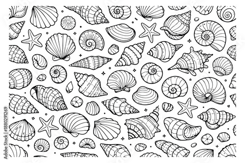 Hand drawn line art sea life set featuring various seashells and starfish for beach and summer designs