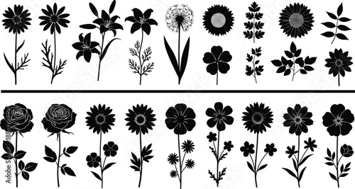 Diverse collection of black flower silhouettes including roses sunflowers and lilies floral vector icons isolated on white background for botanical nature design and stencils