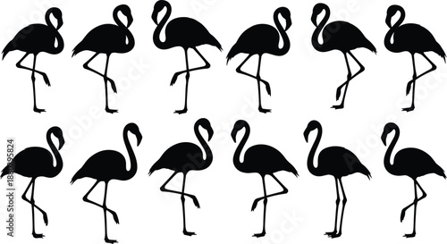 Black flamingo silhouette collection featuring graceful tropical birds in various standing and wading poses for exotic nature wildlife and summer vacation graphic design