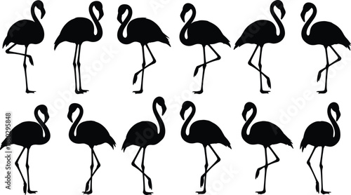 Black flamingo silhouette collection featuring graceful tropical birds in various standing and walking poses for exotic nature wildlife and summer vacation graphic design projects.