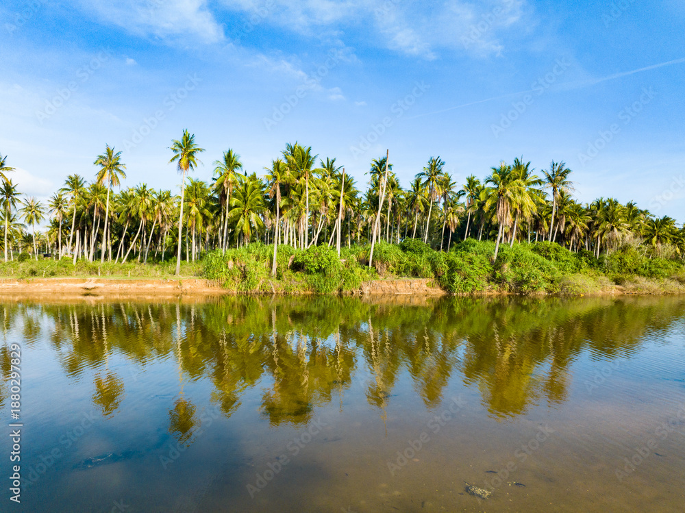 Obraz premium Coconut groves scenery on Coconut Island, Sanya, Hainan.