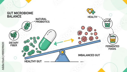 Gut microbiome balance concept with healthy and imbalanced gut illustration