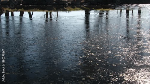 Wallpaper Mural 映る人影 Torontodigital.ca