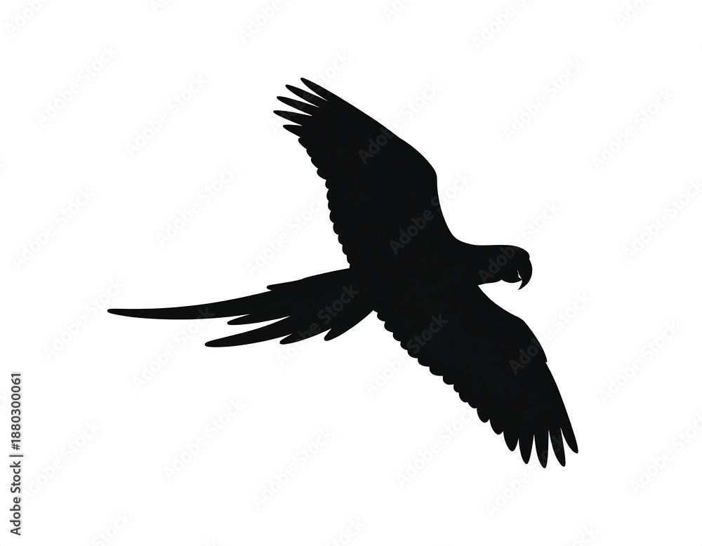 Fototapeta premium Black silhouette of a flying parrot against a bright white background