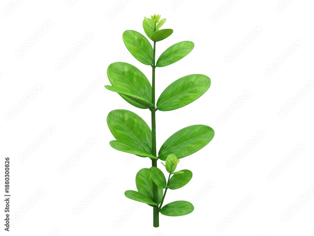 Naklejka premium Green plant stem with leaves isolated on transparent background