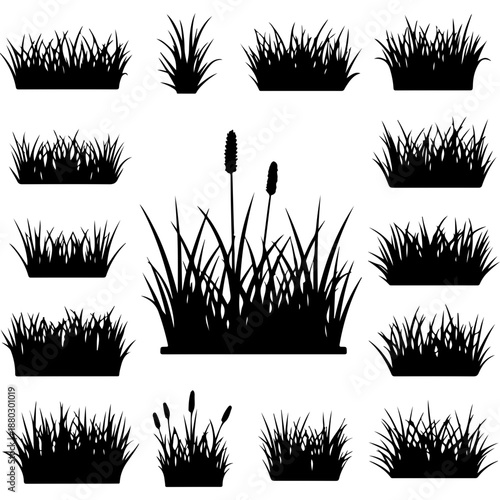 Grass Silhouettes in Planters