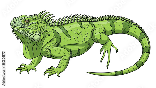 Detailed cartoon illustration of a green iguana lizard.