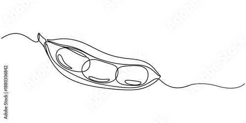 Fava beans continuous one line art drawing organic fava beans, pro vector illustration isolated on white background. beans vector pattern for vegan, One line drawing coffee beans, minimalist style.