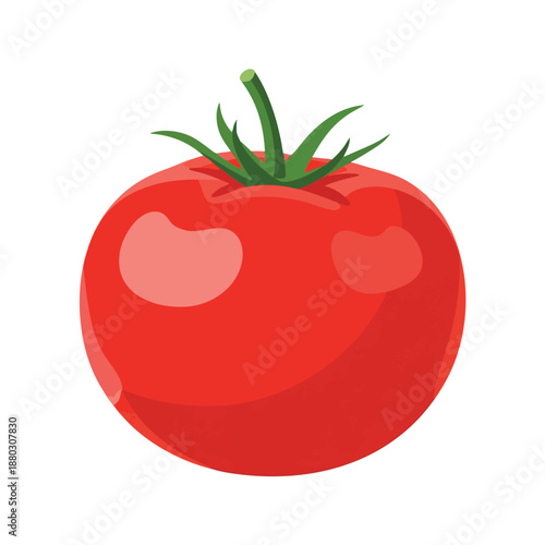 Red Tomato Illustration
