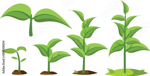 Pixel Art Plant Growth Stages Keywords: pixel art, plant, growth, stages, seedling, sprout